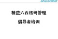 精益六西格玛教材