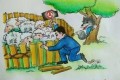 关于SPC 实施过程的一些思考
