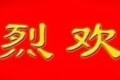 我审核了一个假体系