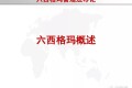 六西格玛管理法导论(166页ppt)